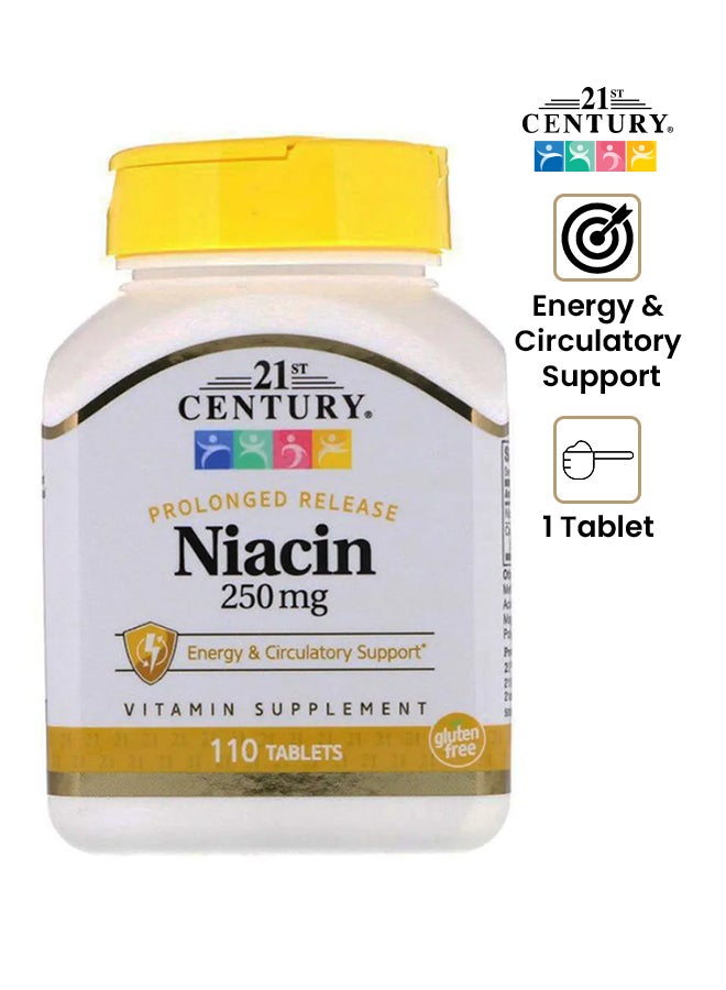 القرن الحادي والعشرون مكمل غذائي نياسين 250 ملجم - 250 قرصاً - Image 1